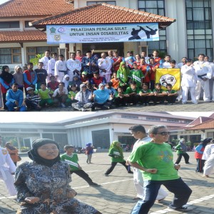 Pelatihan Pencak Silat
